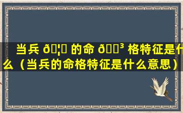 当兵 🦉 的命 🐳 格特征是什么（当兵的命格特征是什么意思）